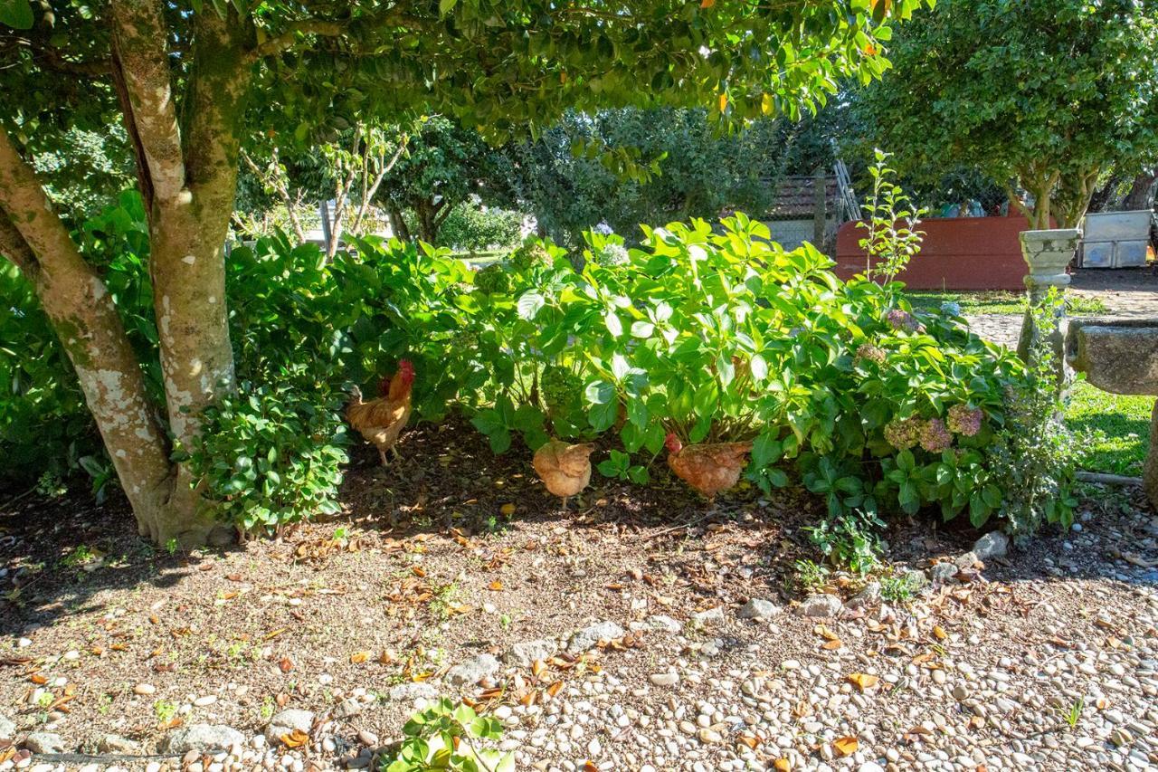 Quinta De Vila Nova - Agroturismo Monção Eksteriør billede