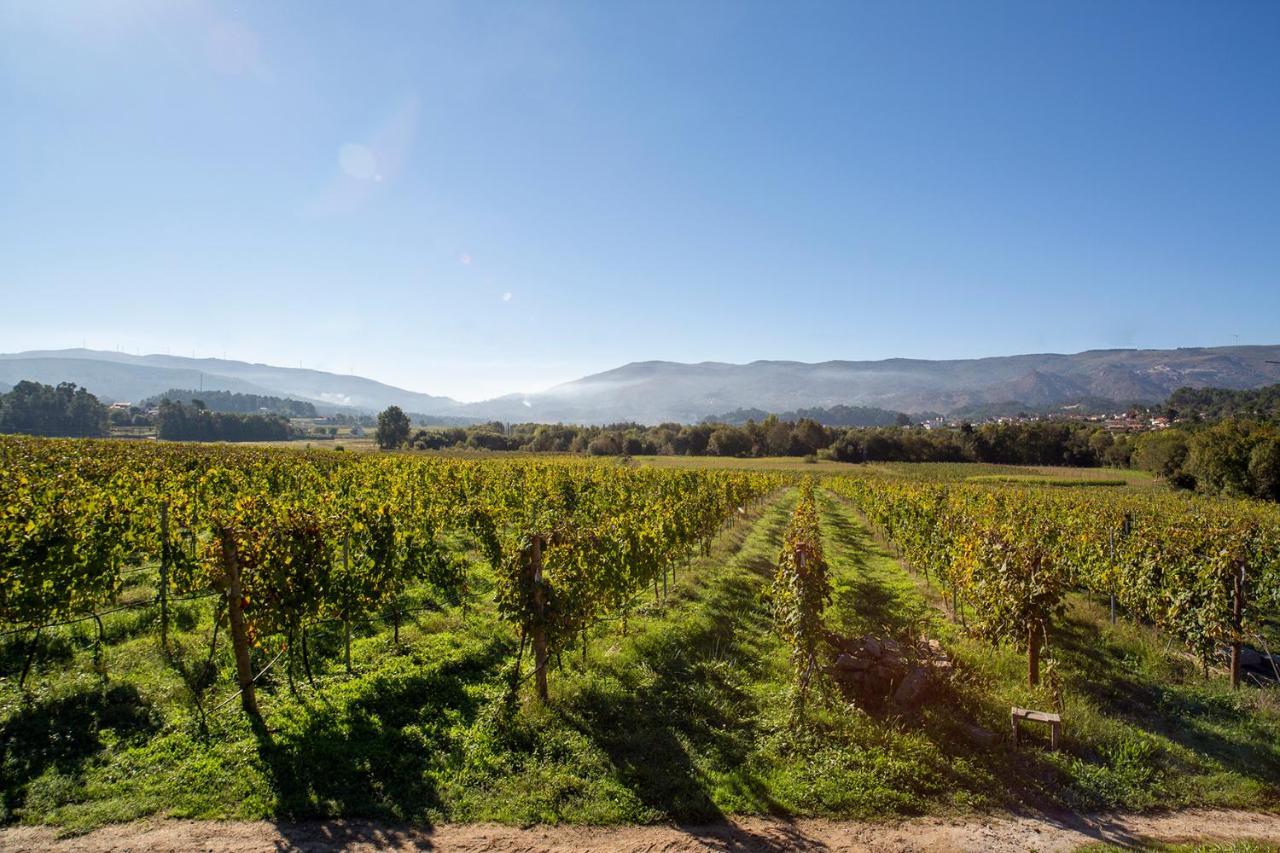 Quinta De Vila Nova - Agroturismo Monção Eksteriør billede
